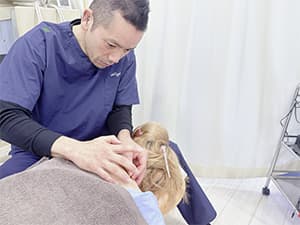 経絡鍼施術を行う院長 秋山俊之