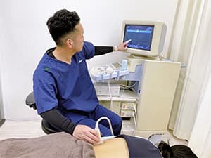 超音波エコーで顔面神経の状態を確認する様子